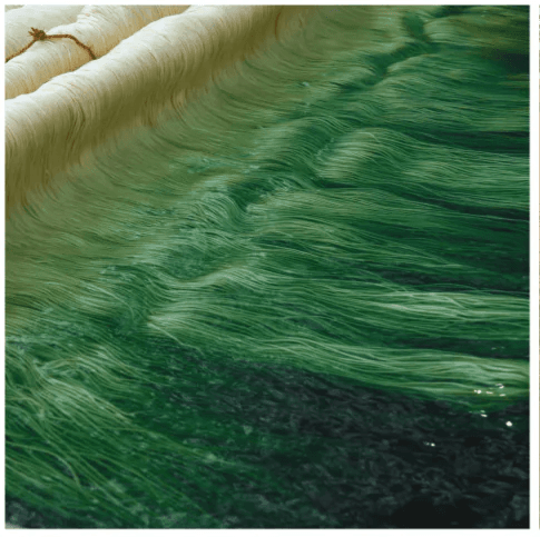 Shadow-drying treated and dyed natural strands
